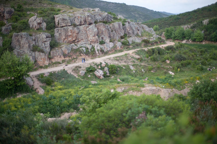 _MG_0591