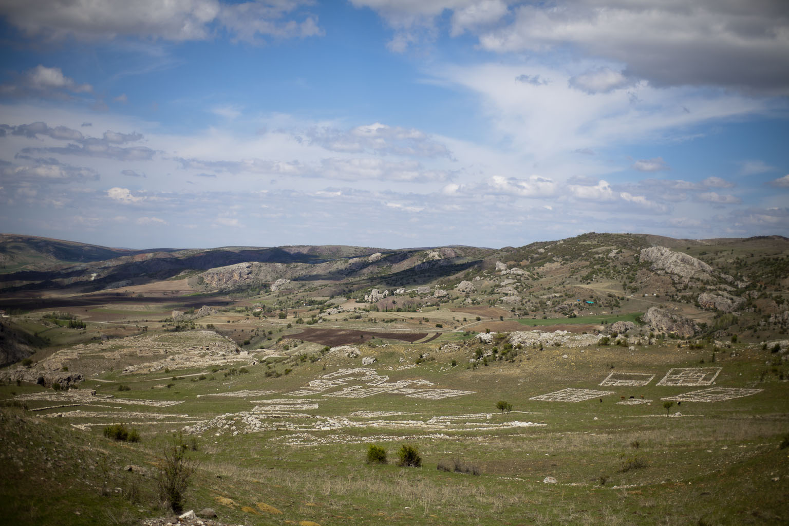_MG_0700